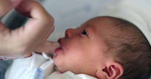Little Newborn Infant Suckling Finger Feeding — Stockvideo