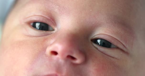 Newborn Baby Macro Eyes — 图库视频影像