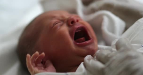 Βρέφος Νεογέννητο Μωρό Κλαίει Στο Νοσοκομείο — Αρχείο Βίντεο