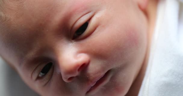 Macro Close Newborn Baby Face First Week Life — Stock Video
