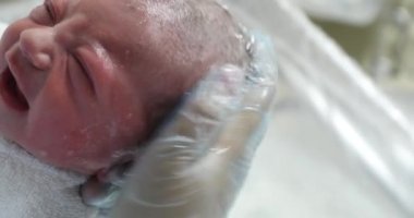 Washing the head of newborn baby infant