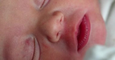 Infant newborn macro closeup asleep