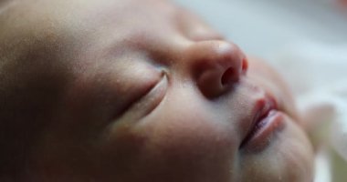 Close-up of newborn baby face portrait in macro