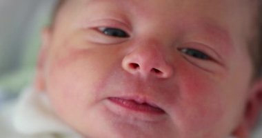 Newborn baby infant first day of life after birth looking, learning, and observing the world for first time