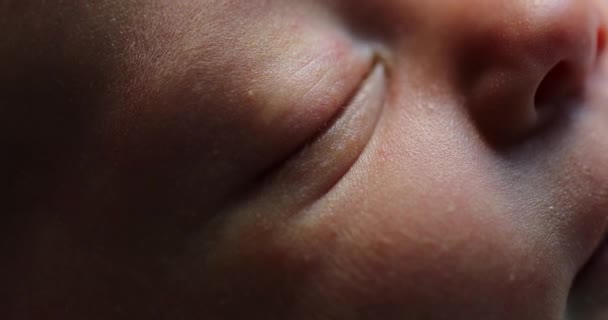 Close Newborn Baby Face Portrait Macro — Stockvideo