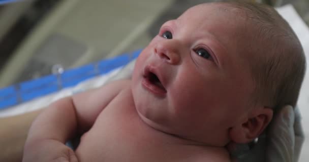 Νεογνό Βρέφος Μωρό Πρώτες Ώρες Της Ζωής Στο Νοσοκομείο — Αρχείο Βίντεο
