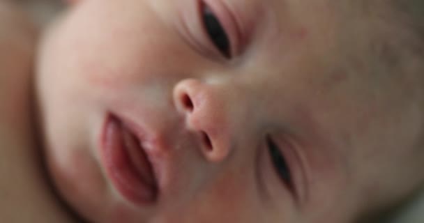 Newborn Baby Infant Portrait Macro — Stok Video