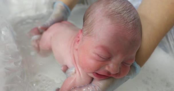 Picking Newborn Baby Warm Bath Hospital — Video Stock