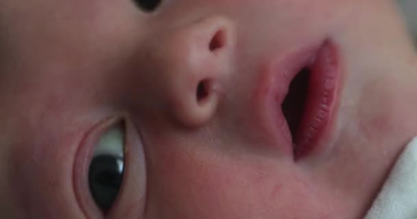 Дитячий Новонароджений Немовля Прокинувся Перший День Життя Макро Крупним Планом — стокове відео