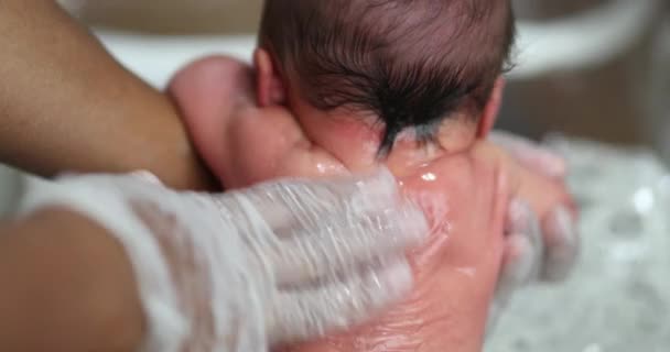 Giving Bath Newborn Baby Infant First Bath — Vídeo de Stock
