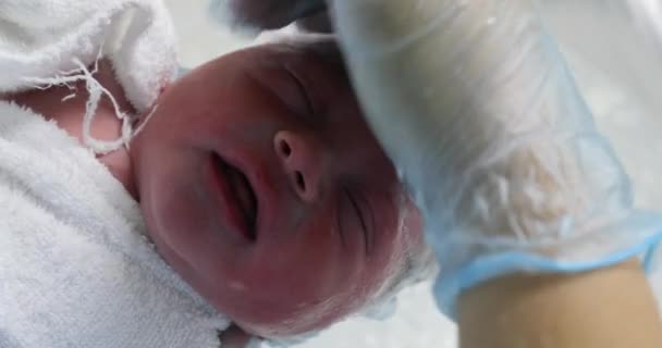 Newborn Baby Infant Taking Bath Birth — Wideo stockowe