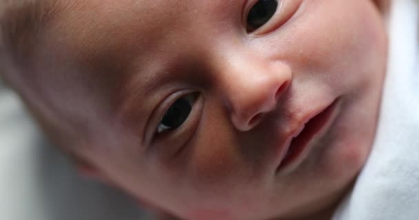 Closeup Infant Newborn Baby First Day Life — Vídeos de Stock