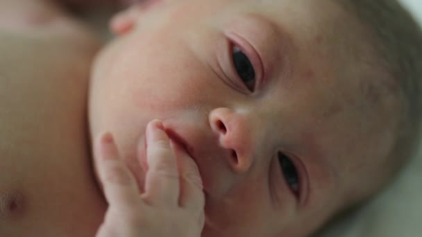 Newborn Baby First Day Life Close Infant New Born First — Stockvideo