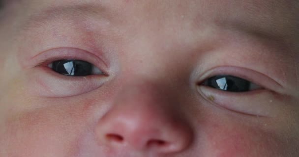 Newborn Closeup Baby Eyes First Day Life — Stock Video