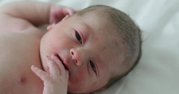 Newborn Baby Infant Portrait First Day Life — Stockvideo