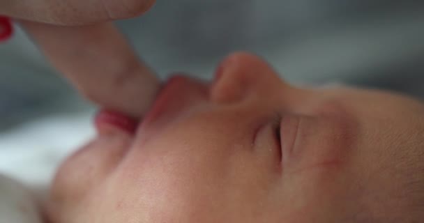 Little Newborn Baby Finger Feeding — Vídeos de Stock