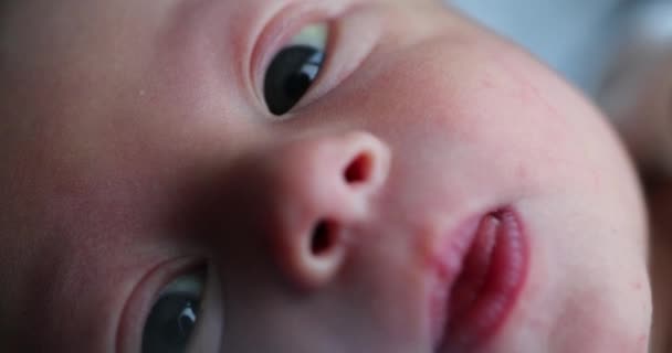 Baby Newborn Infant First Week Life Closeup Portrait Face — Vídeos de Stock