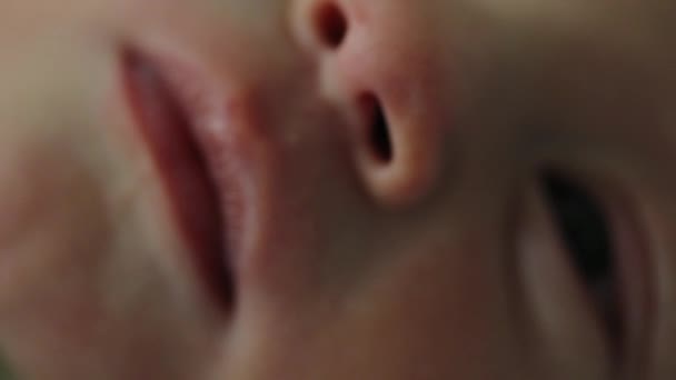Infant Newborn Baby Closeup Face — Stockvideo