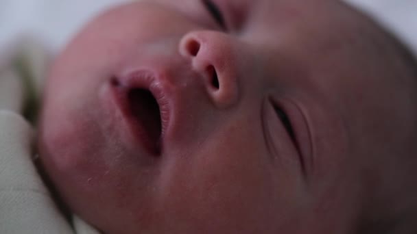 Newborn Baby First Day Life Awake — Stock Video
