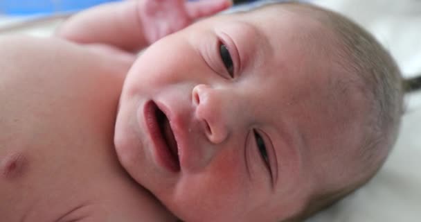 Portrait Newborn Infant Baby First Hours Life Hospital — Vídeos de Stock