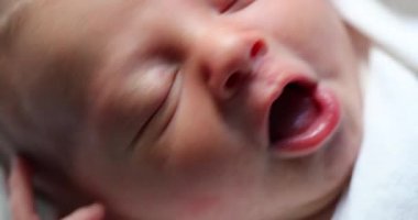 Newborn baby infant first day of life, vertical macro close-up
