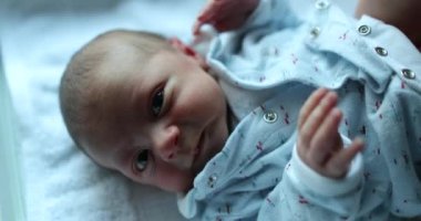 Cute newborn baby infant awake in first week of life
