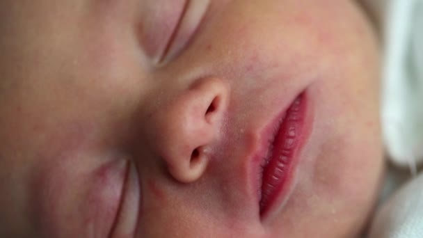 Macro Close Infant Baby Boy Sleeping First Day Life Birth — Video