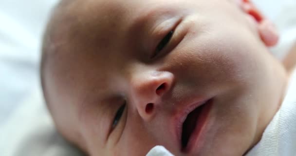Newborn First Day Life Waking Sleep — Wideo stockowe