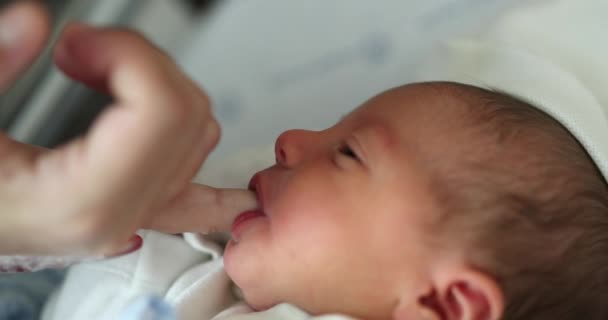 Newborn Infant Finger Feeding Suckling — Video