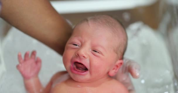 Newborn Baby Infant Taking Bath First Time — Stock Video