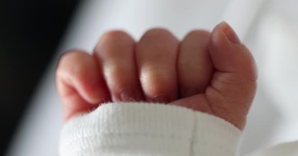 Newborn Macro Close Hand Baby Infant Hand Closeup — Vídeo de Stock