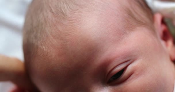 Newborn Baby Macro Detail Close — Stockvideo