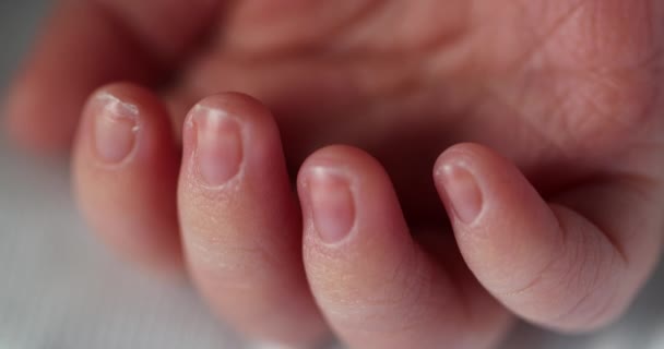 Macro Newborn Close Tiny Hand Hand — Vídeo de Stock