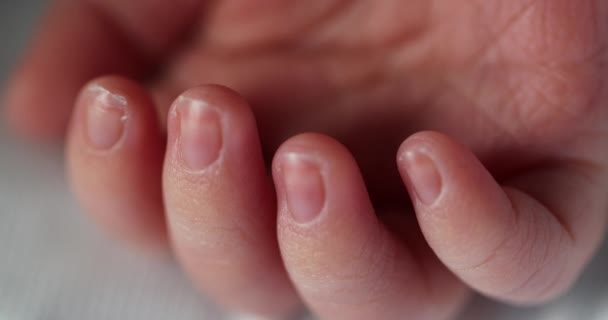 Macro Newborn Close Tiny Hand Hand — Stock Video