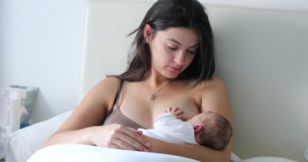 Candid Mother Breasftfeeding Newborn Baby Morning — Stockvideo