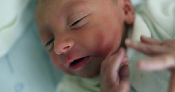 Newborn Baby Infant Birth — Wideo stockowe