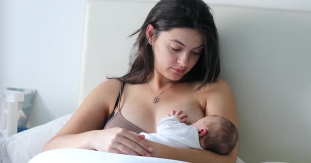 Candid Mother Feeding Newborn Baby Breastfeeding — Stockvideo
