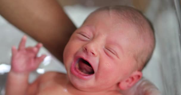 Newborn Baby Boy Crying While Taking Bath — Stockvideo