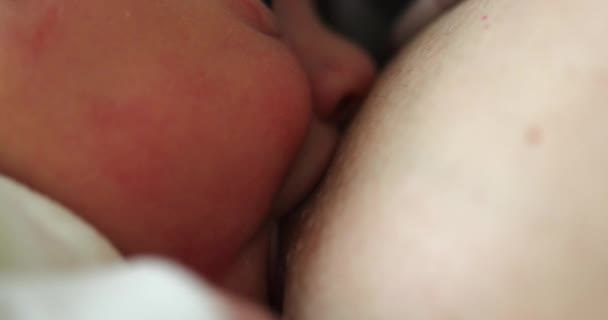 Close Newborn Baby Mouth Breastfeeding — ストック動画