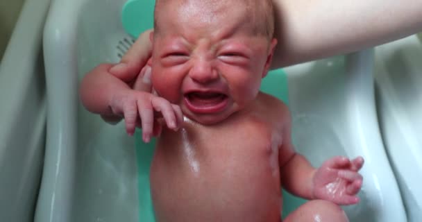 Washing Newborn Baby Bathing Warm Water — Stock Video