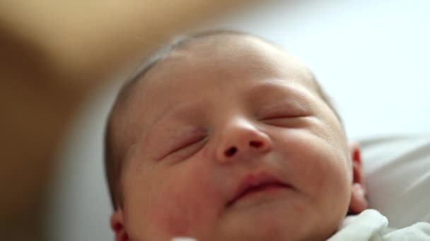 Newborn Infant Boy Baby Sleeping — Stock video