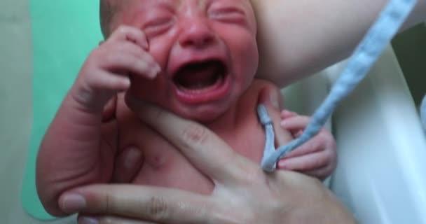 Bathing Newborn Baby Body Warm Water Relaxing Giving Calming Effect — Stockvideo