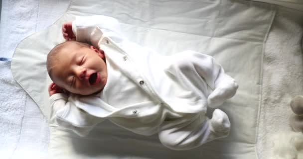 Vertical View Newborn Baby Infant Crib Sleeping — Stockvideo