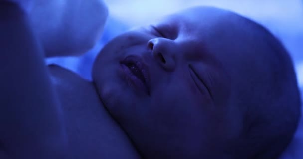 Newborn Baby Boy Phototherapy Lamp Getting Treated Jaundice — 图库视频影像