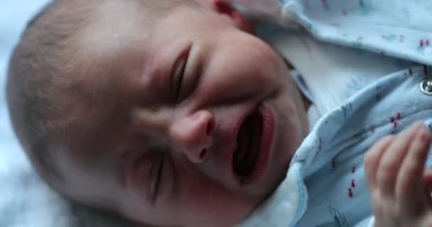 Αναστατωμένο Νεογέννητο Μωρό Κλαίει Ζητώντας Προσοχή — Αρχείο Βίντεο