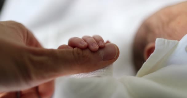 Новонароджена Дитина Тримає Палець Батька Під Час Першого Дня Життя — стокове відео
