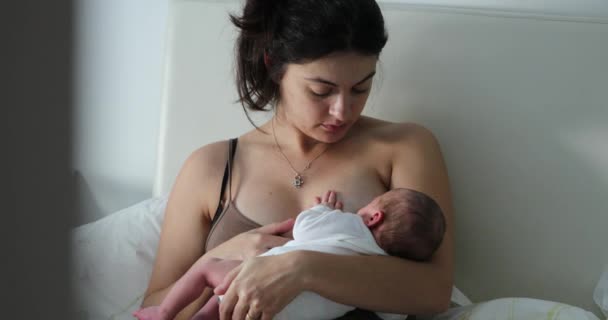 Mother Breastfeeding Newborn Baby First Week Life Candid Mom Showing — Stockvideo