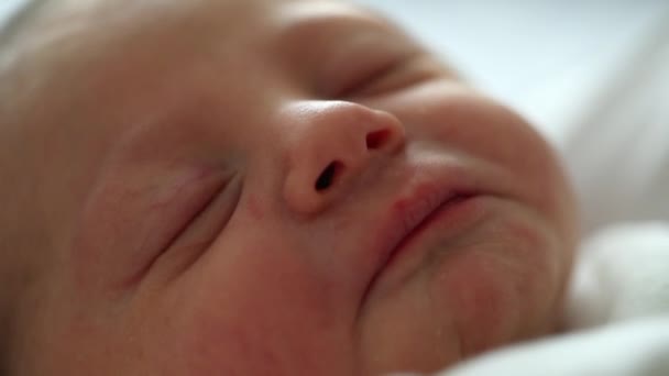 Newborn Baby Infant Sleeping First Day Life Birth — Stockvideo