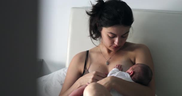 Candid Mother Breastfeeding Newborn Baby — ストック動画