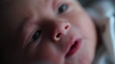 Curious cute baby newborn observing. close-up of infant face